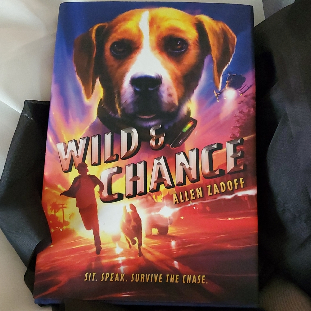 Wild & Chance Book a novel‎